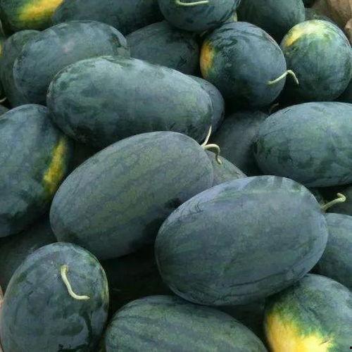 俄罗斯搜索吃瓜黑料,探寻吃瓜黑料的背后真相