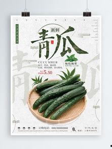 黑瓜吃料正能量官网下载,下载之旅，收获满满